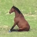 墨染辉夜头像